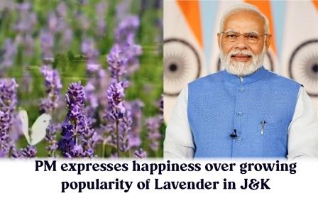 PM expresses happiness over growing popularity of Lavender in J&K